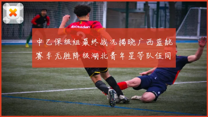 中乙保级组最终战况揭晓广西蓝航赛季无胜降级湖北青年星等队伍同遭降级