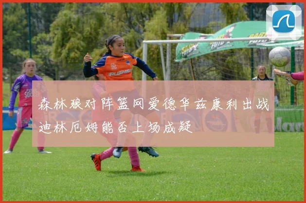 森林狼对阵篮网爱德华兹康利出战迪林厄姆能否上场成疑