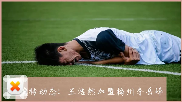德转动态：王浩然加盟梅州李岳峰外租厦门飞鹭高天语转会杭州临平吴越